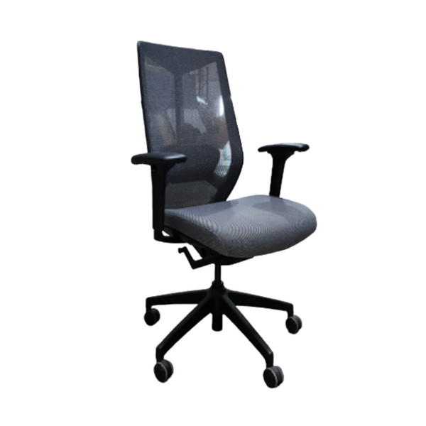 Friant Ignite Task Chair