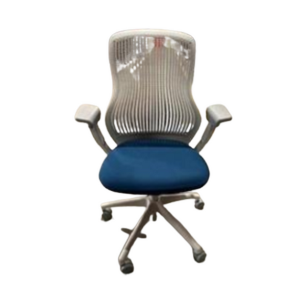 ReGeneration by Knoll Flex Back Net Task Chair - Meteor Back / Blue Marine Seat