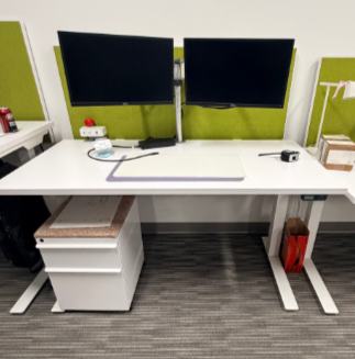 Standing Desk & Privacy Screen - Citronella - KIT 101 PM AREA