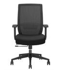 Ergonomic Task Chair, Mesh bk, Ht Adj Arms, Syn 4LK, SS