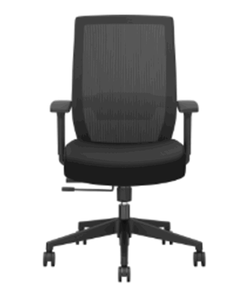 Ergonomic Task Chair, Mesh bk, Ht Adj Arms, Syn 4LK, SS